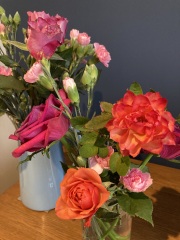 Thread 34 Starmer - Conference Swanwiches and a Deputy Leader contest