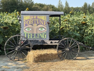 Come and tell us your dull and unexciting news 34: Calmly through the day