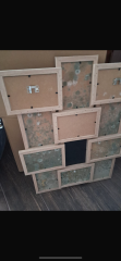 Serious Mould problem - advice needed