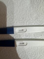 Pregnancy tests - help!!