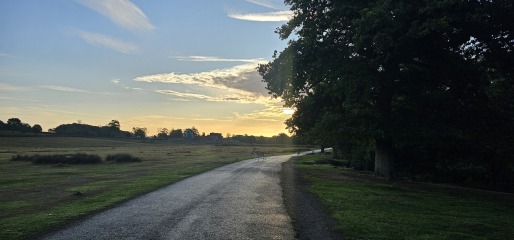 Good Morning All! What are you all up to today?