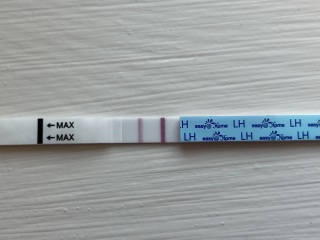 September TTC thread 💛