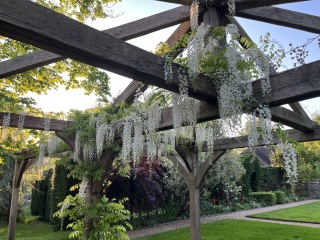 The potting shed: sheltering from the rain and musing about the garden