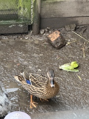 January Starters - Thread 11!