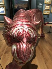 WTH is with all these 5 year old threads?