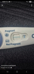 What does everyone think about these test results?