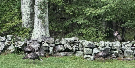 Come and tell us your dull and unexciting news 34: Calmly through the day