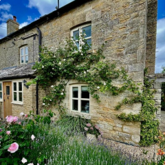 If you live in the Cotswolds and know this colour....