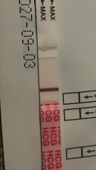 Day 2 of missed period