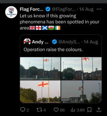 I took down some flags and DH wasn’t happy