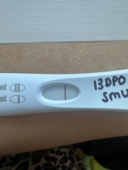 Head is frazzled - 13DPO and Frer progressing slowly!
