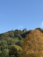 Year round Nigel Slater discussion thread Part 2