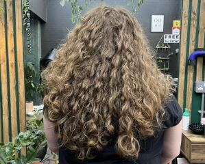 So I took all the hair advice and here I am with healthy shit hair.