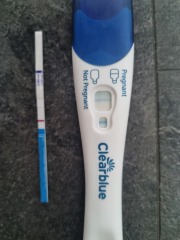 Pregnant or evap line