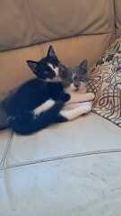 What are you up to today if you have chronic illness part 2?