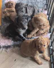 What are you up to today if you have chronic illness part 2?