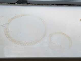To be disgusted with my DD uni accommodation, pics included?