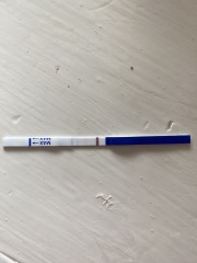 Pregnancy test