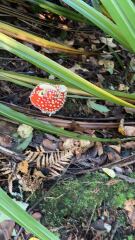 The Bluestocking - the one where the nights start to draw in