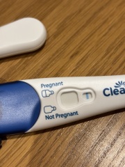 TTC TWW August/September 2025