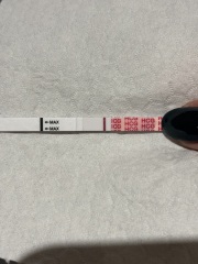 TTC TWW August/September 2025