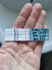 Do any of these opks look positive?