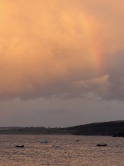 Year round Nigel Slater discussion thread Part 2