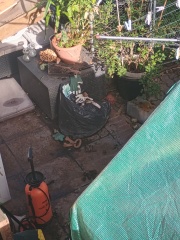 Neighbours