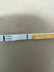 September TTC thread 💛