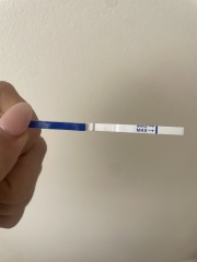 Evap line or bfp? Thoughts please!