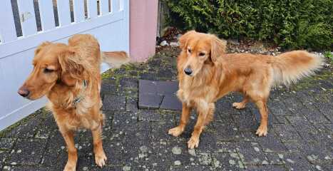 January Starters - Thread 11!