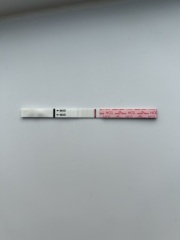 8dpo / pregnancy test