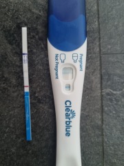 Pregnant or evap line
