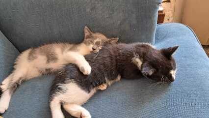 What are you up to today if you have chronic illness part 2?