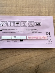 October 2025  - Halloween 🎃, colder weather and hoping for our BFP’s