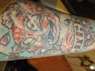 Chicken, Dreamies and Lickelix - the Excellent Cats form a disorderly queue