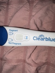 Pregnancy test (confused)