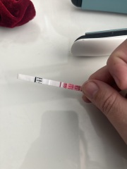 IVF 7dp5dt progression ?