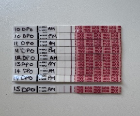 Recurrent Chemical Pregnancies