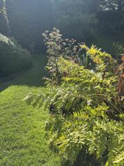 Thread 18 - TalkLair: "That's no moon. It's a space station!"