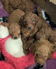 What are you up to today if you have chronic illness part 2?