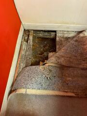 Damp floorboards in parents house??