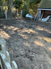 The potting shed: sheltering from the rain and musing about the garden