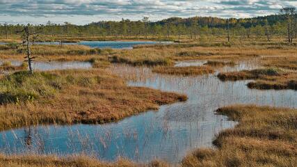 Ukraine Invasion: Part 58