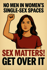 I'm confused what gender critical people want. Could someone clarify?