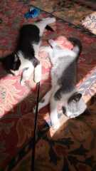 What are you up to today if you have chronic illness part 2?