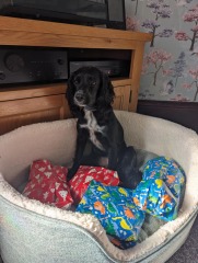 Our Cosmic Autumn Rebellion (Adolescent Support Group)