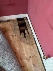 Damp floorboards in parents house??