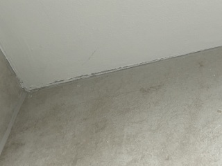 To not have the decorator back?