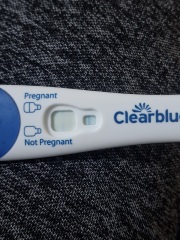 Clear blue test. Evap line or positive
